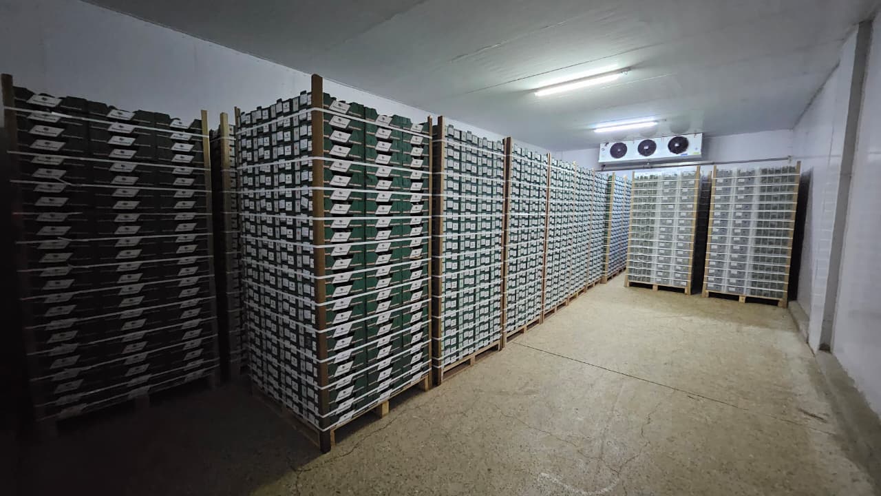 Forced Air Cooling (Cold Room Precooling)