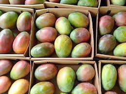 Mangoes image