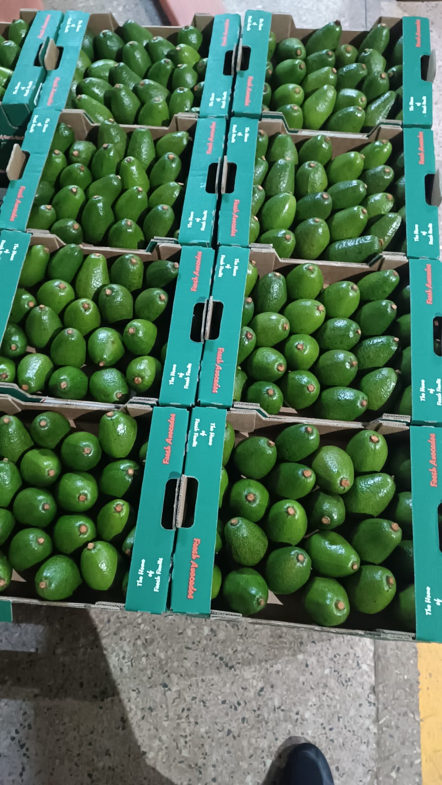 Our Packaging options - 4kg Box