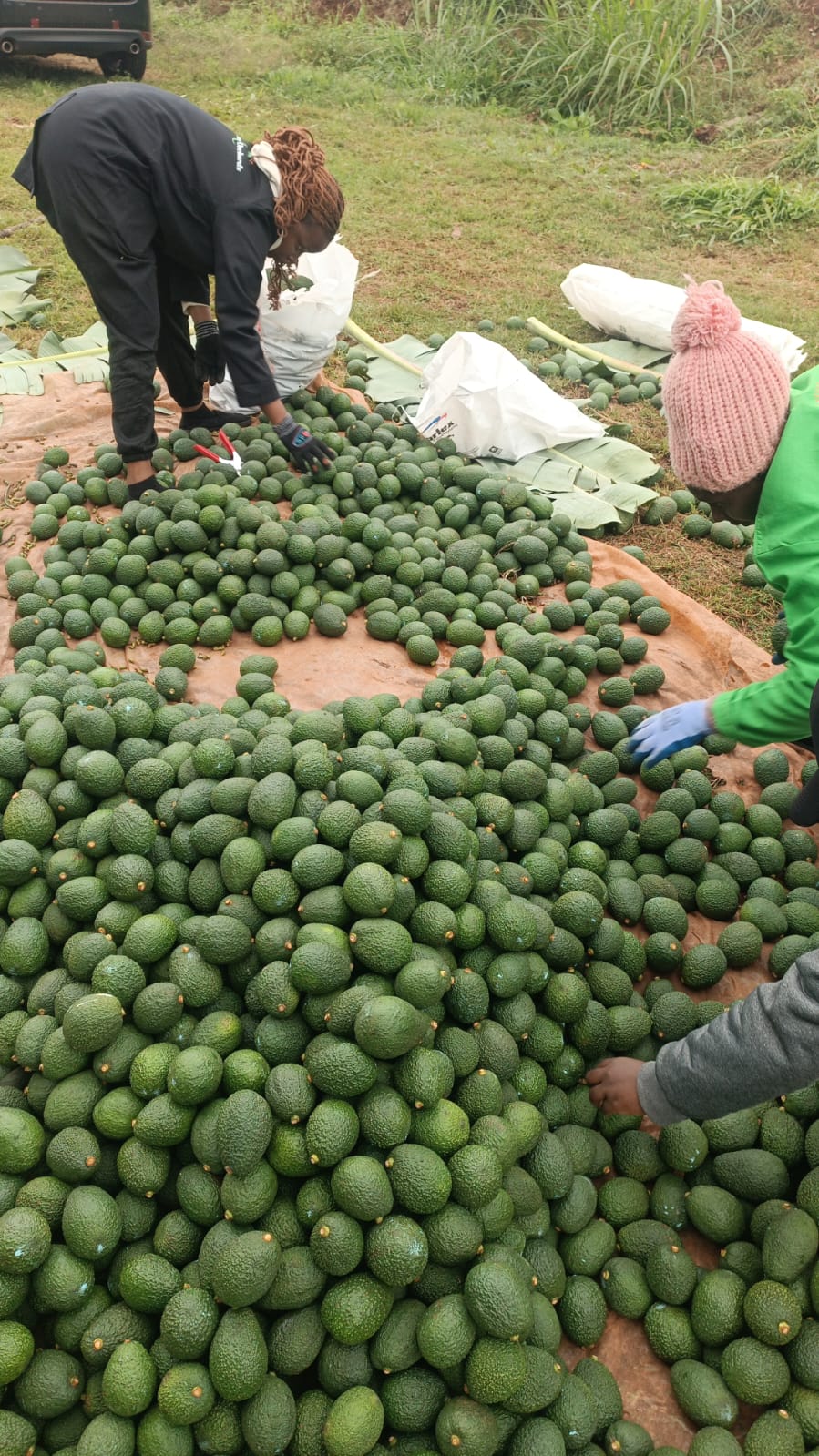 Harvesting and Aggregation