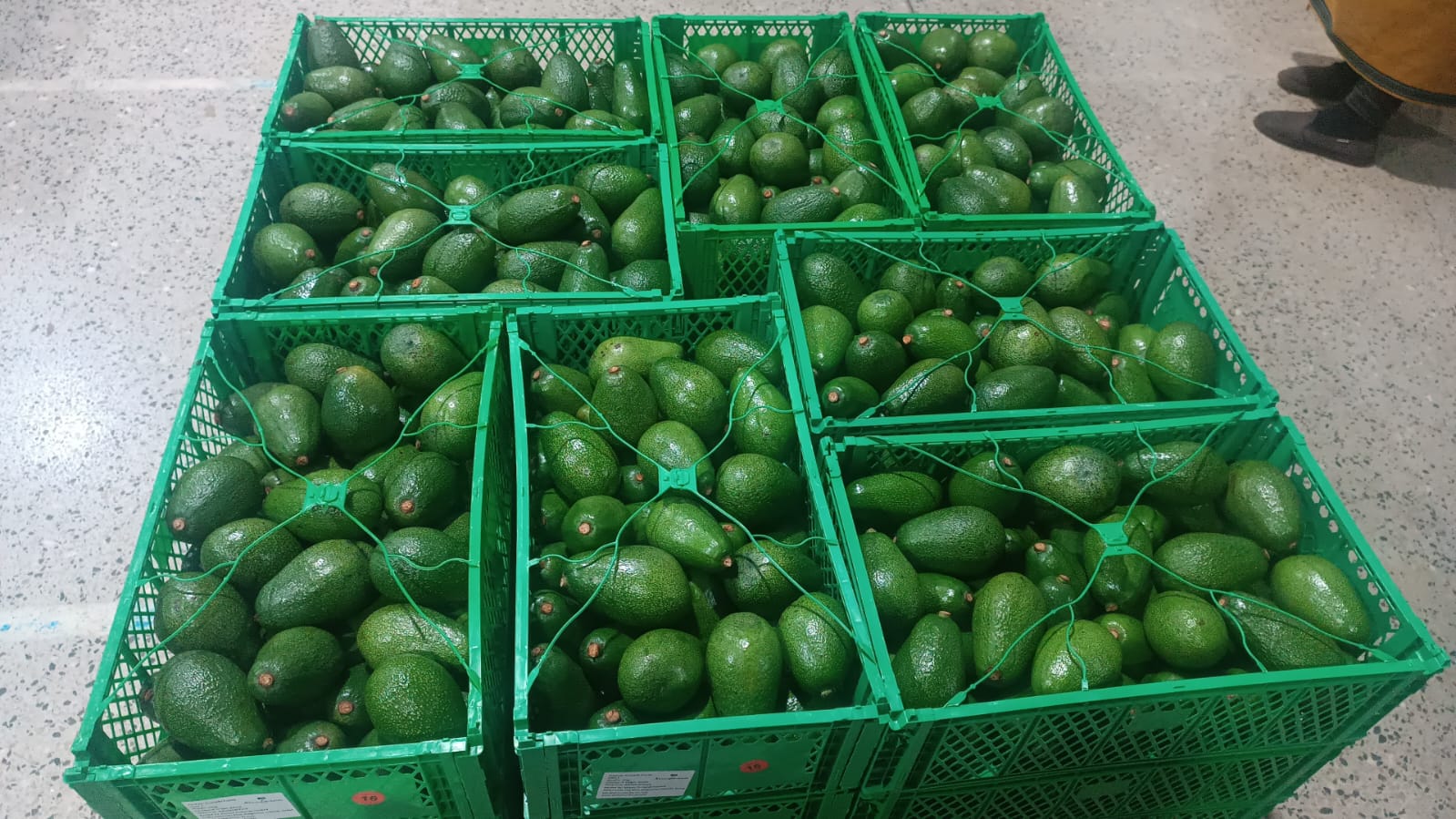 Kenyan Fresh Produce | Ecobloom Harvest